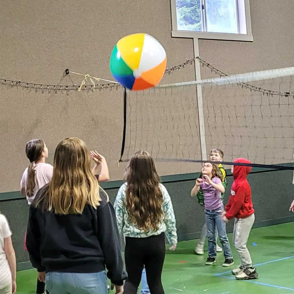 267d9847-7af7-4646-a658-500699219923